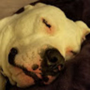 Meet your Posher, Candy